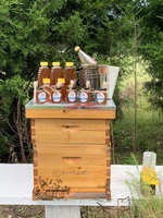 Product_pic_bee_hive_pic_1