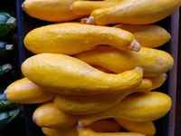 Blanched_yellow_squash