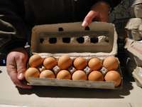 Eggs_farmersmarket