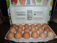 18_pak_eggs
