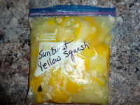 Patty_squash(sunburst_yellow)