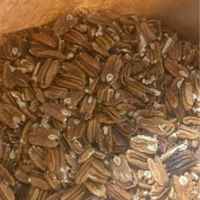 Pecans_cracked